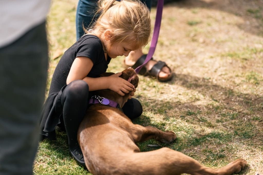 69232538_2098224076945163_8993691307717165056_o