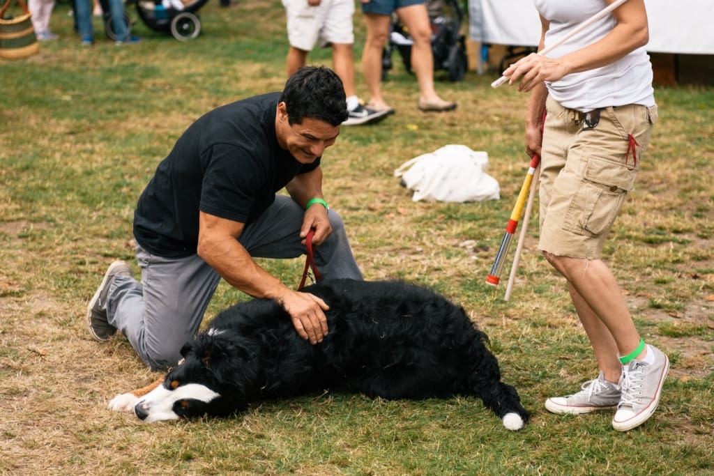 69401774_2098218826945688_8937060166759612416_o