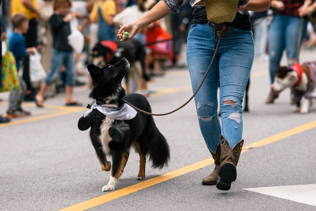 69449953_2098306006936970_2641855502123794432_o