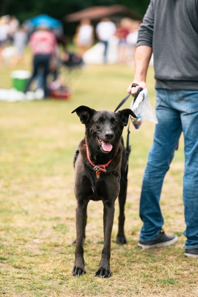 69873612_2098219966945574_5702161683552665600_o