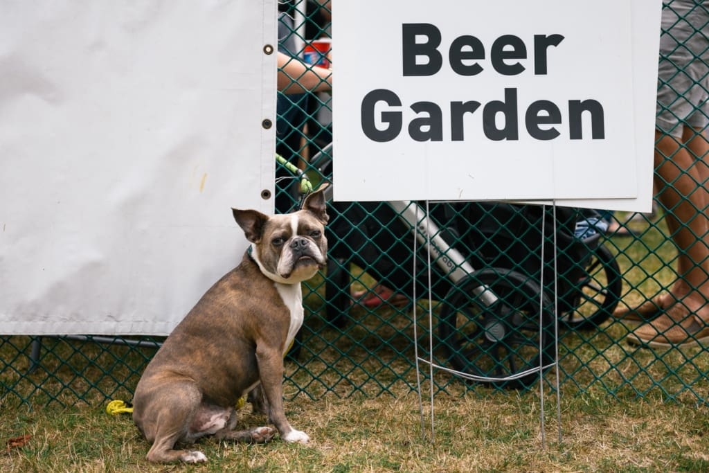 69880461_2098221833612054_6372978366223482880_o