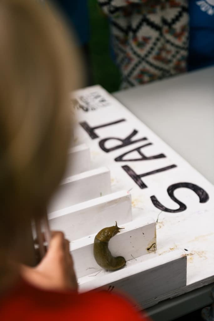 70062843_2098223896945181_7689245388426969088_o