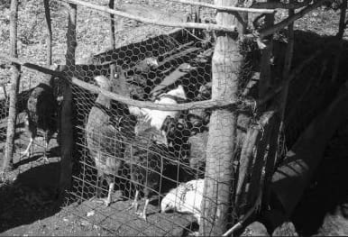 Kiva Vignettes: Meet Agnes